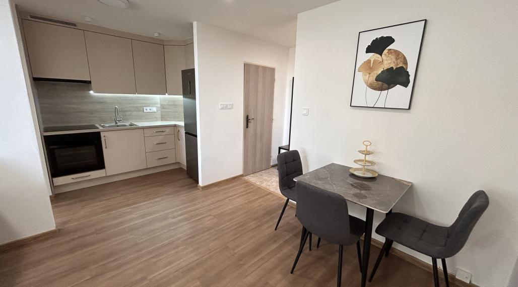 Na prenájom zariadený 1,5-izbový byt s loggiou | Moldava n/B